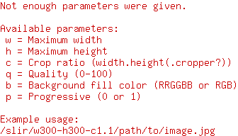 Karate-Anfängerlehrgang